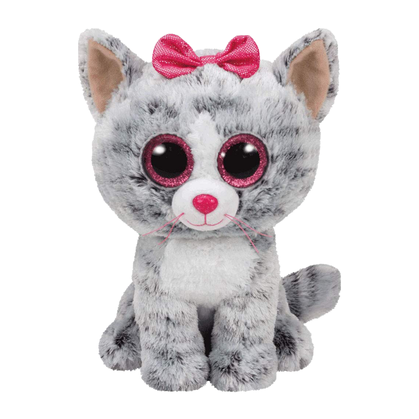 Kiki the cat