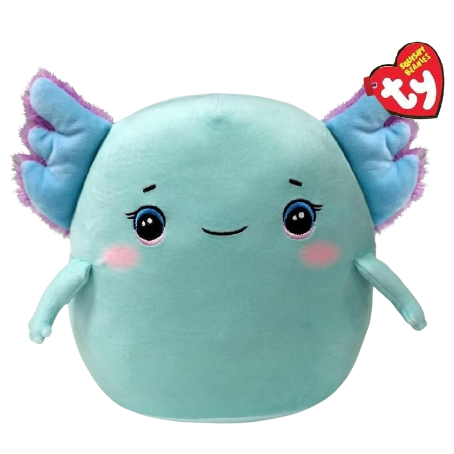 Charlie the axolotl