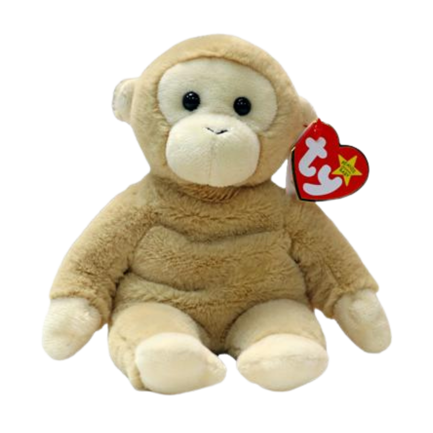 Bongo II