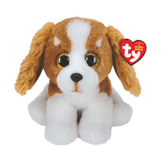 Barker the dog