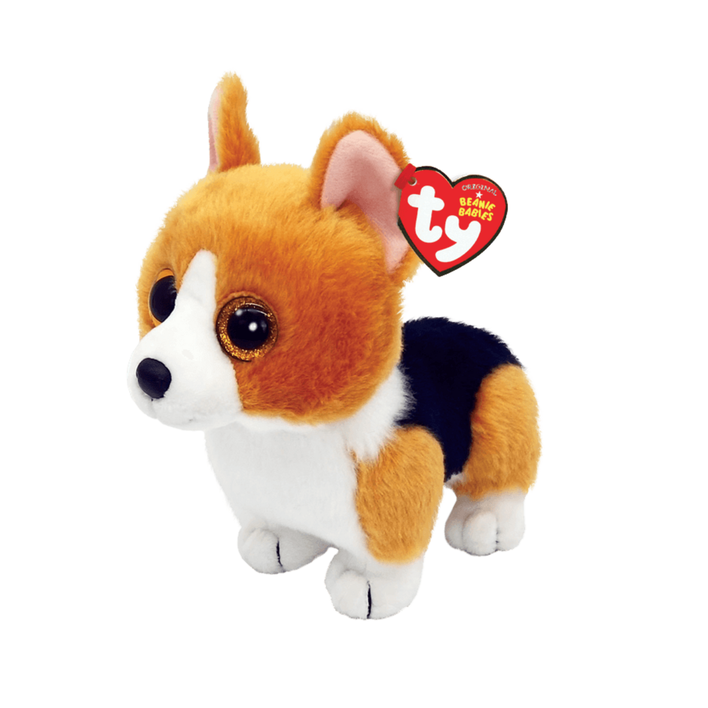 Colin the corgi