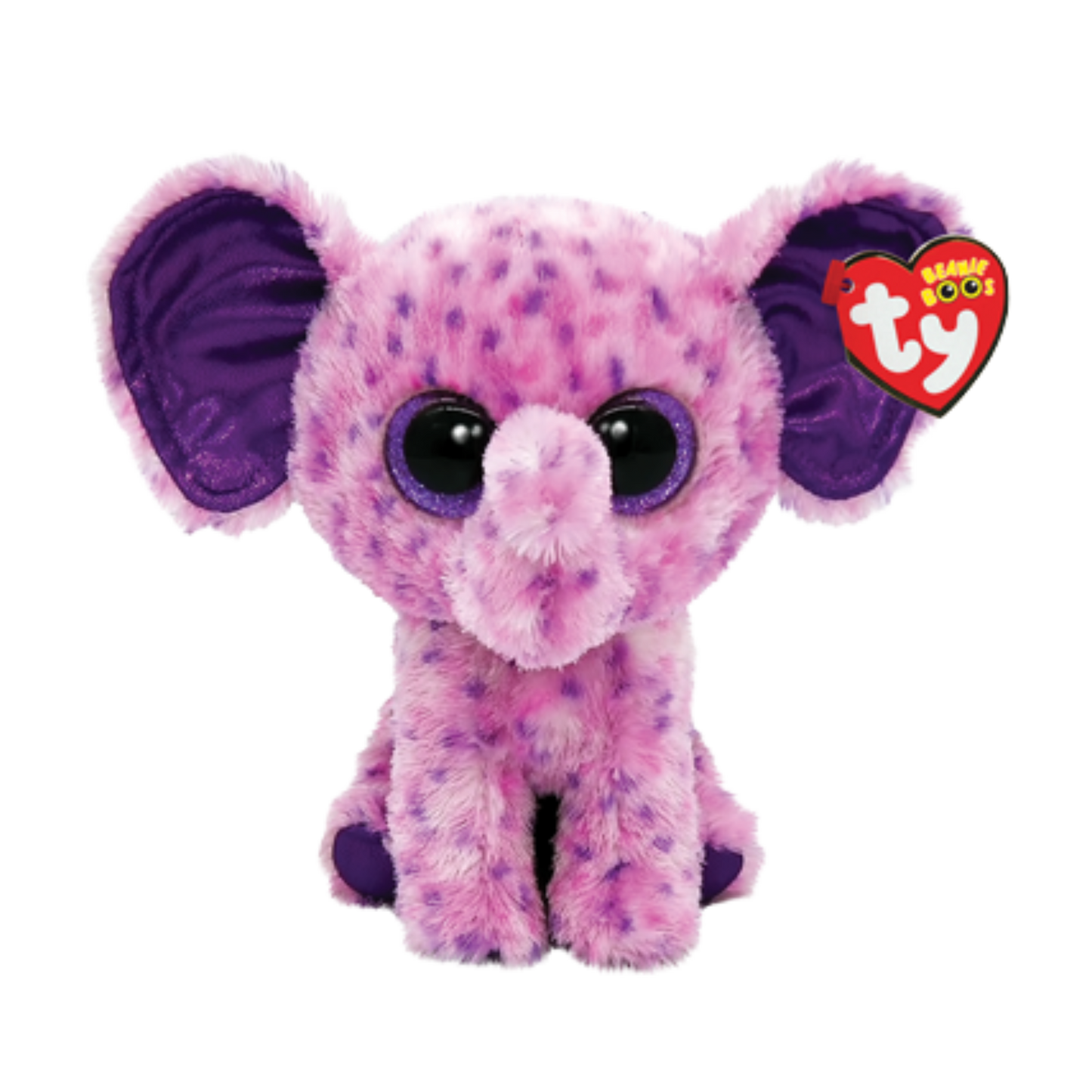 Eva the elephant