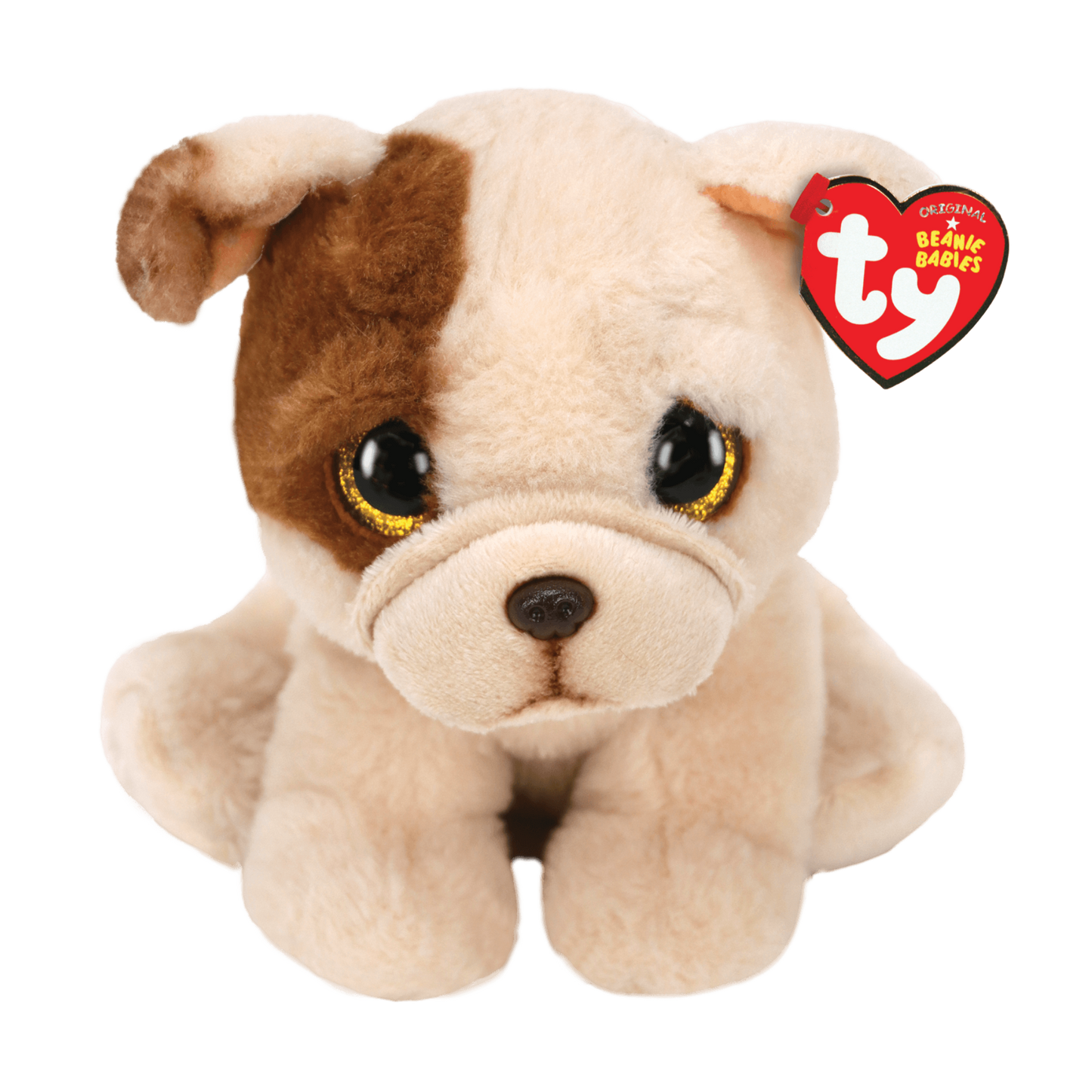 Houghie the dog