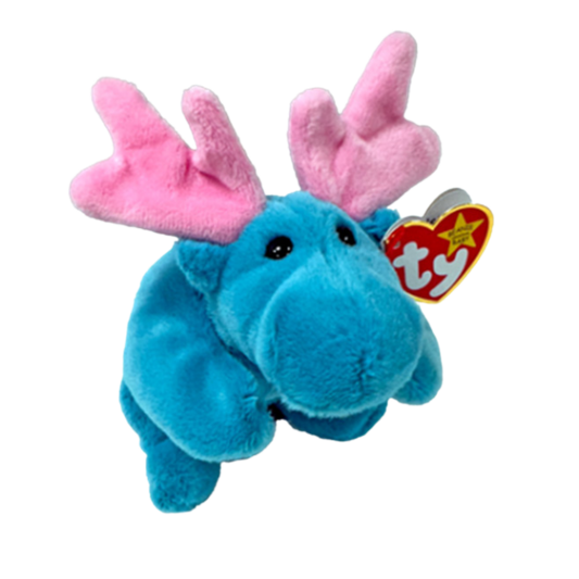 Hudson the moose
