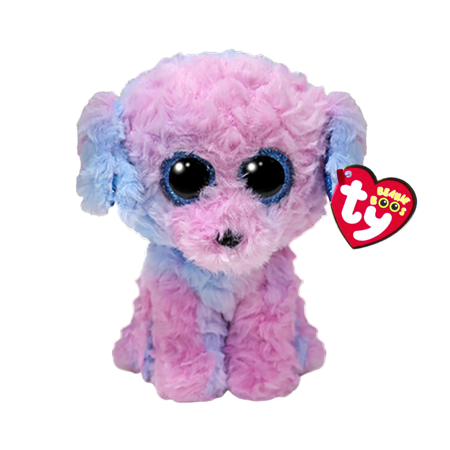 Flora the dog
