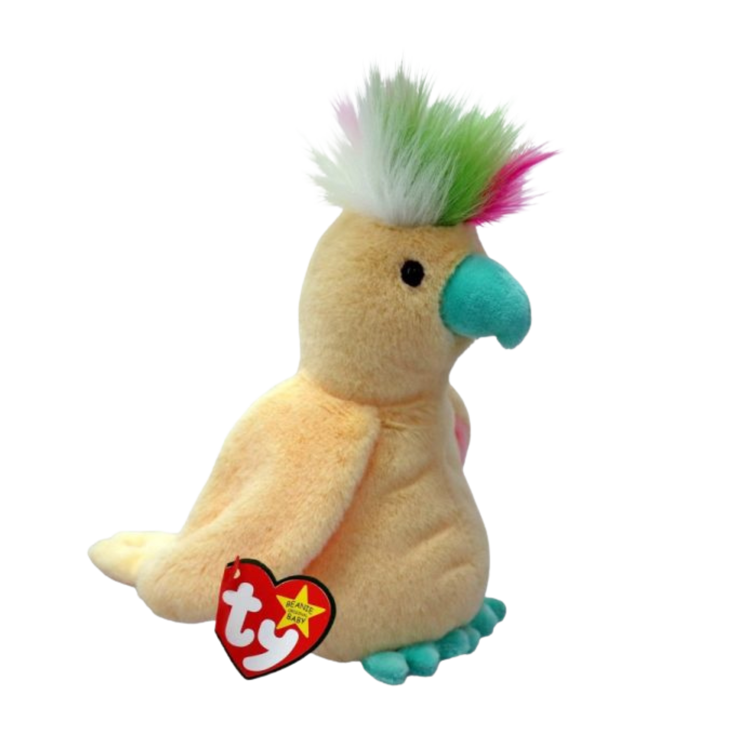 Pom Pom