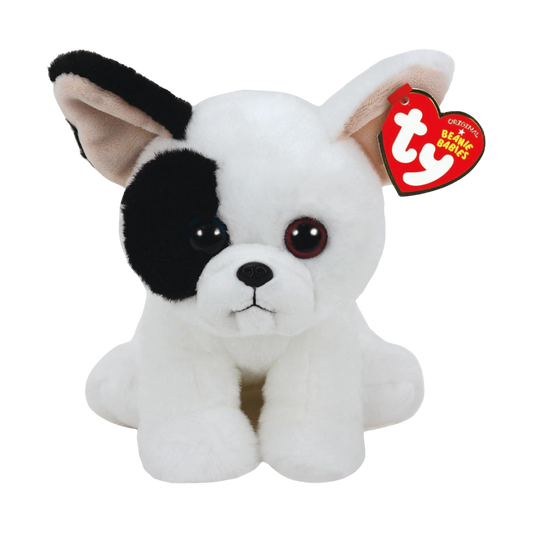 Marcel the french bulldog