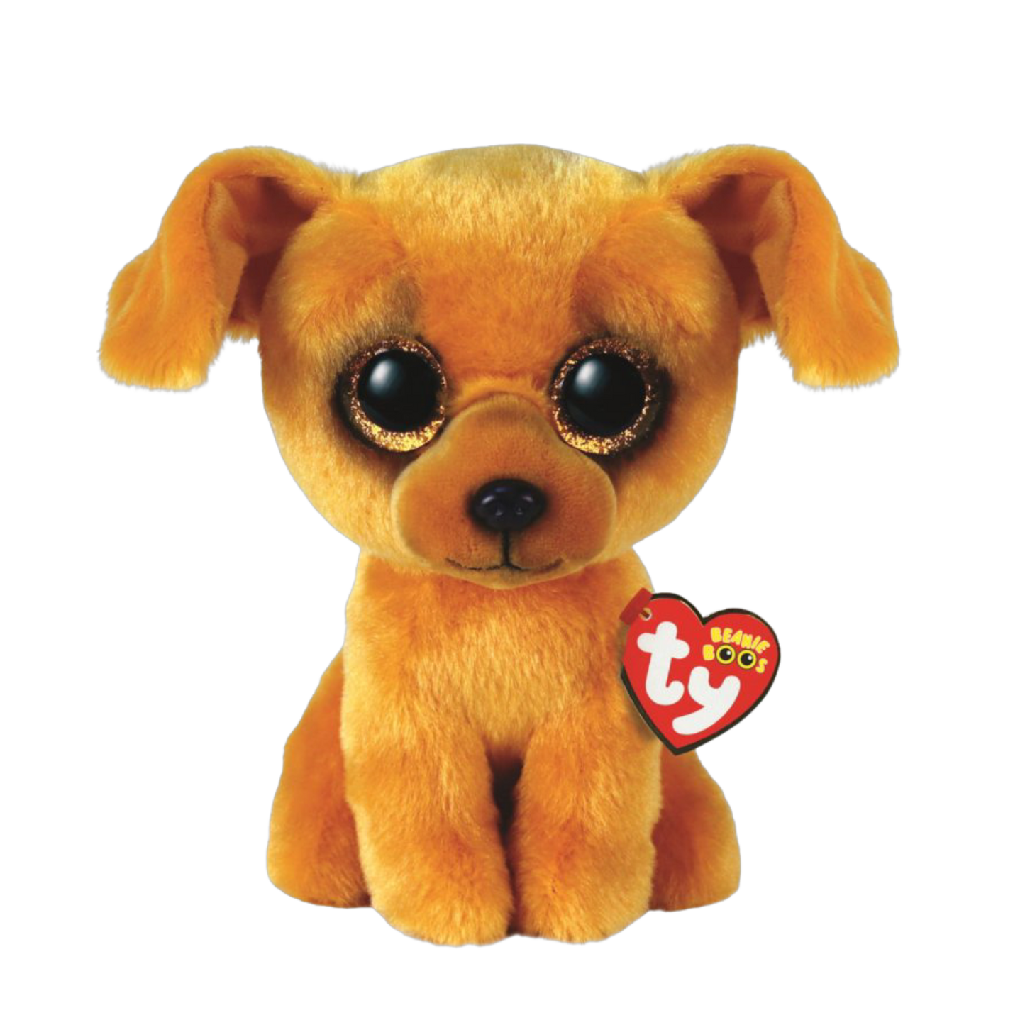 Zuzu the dog