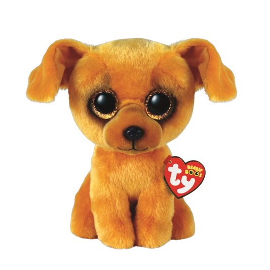 Zuzu the dog