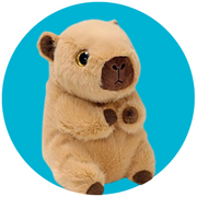 Beanie Boos